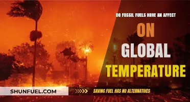 Fossil Fuels: Global Temperature Impact