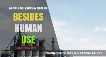 Fossil Fuels: Beyond Human Energy Use?