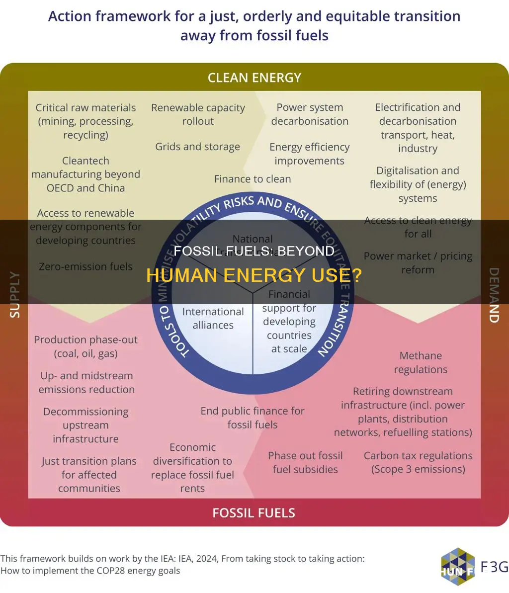do fossil fuels have any other use besides human use