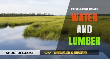 Fossil Fuels: Water and Lumber's Role Explored