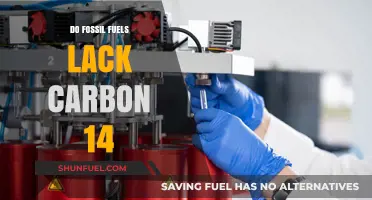 Carbon Dating: Fossil Fuels and Carbon 14 Absence