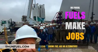 Fossil Fuel Jobs: Boon or Bane?