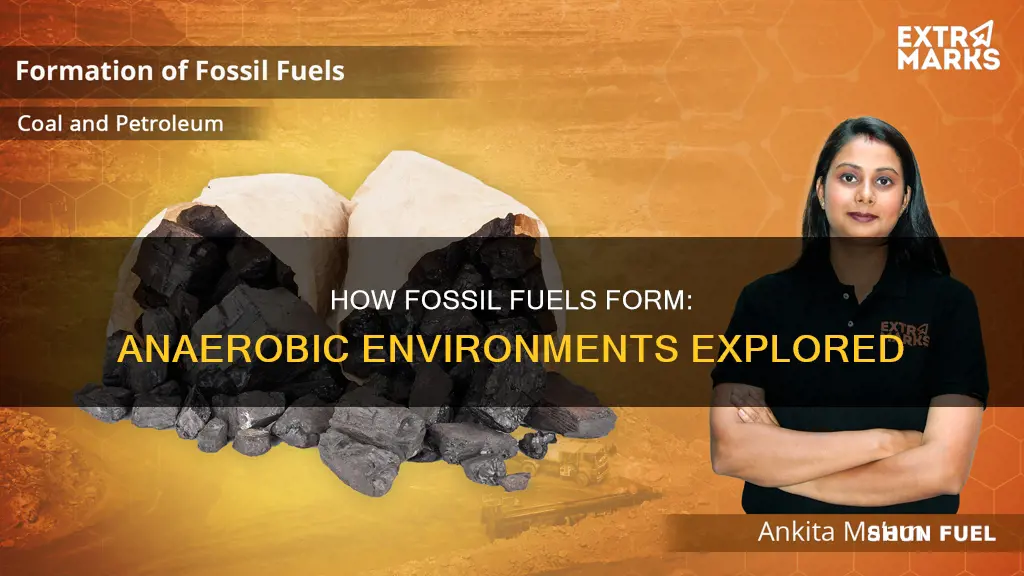 do fossil fuels need an anerobic enviroment to form