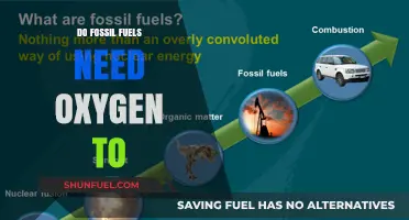 How Fossil Fuels Burn: Oxygen's Role