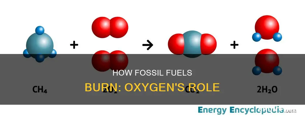 do fossil fuels need oxygen to