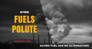 Fossil Fuels: Polluting Our Planet?