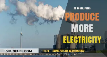 Fossil Fuels: Powering Our World, But For How Long?