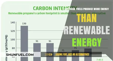 Fossil Fuels vs. Renewables: Who Wins the Energy Battle?
