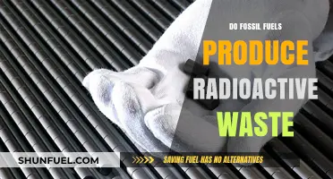 Fossil Fuels: Radioactive Waste or Clean Energy?