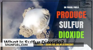 Fossil Fuels: Sulfur Dioxide Emitters