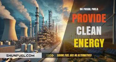 Fossil Fuels: Clean Energy or Environmental Disaster?