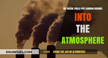 Fossil Fuels: Carbon Dioxide's Main Culprit