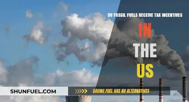 Fossil Fuel Tax Breaks: Unfair US Policy?