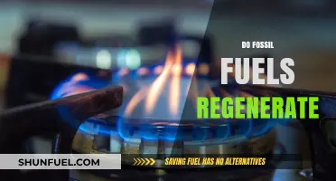 Fossil Fuels: Finite Energy Sources
