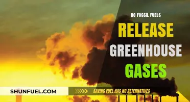 Fossil Fuels: Greenhouse Gas Emissions Culprit