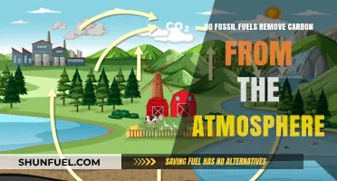 Fossil Fuels: Carbon Removal or Addition?