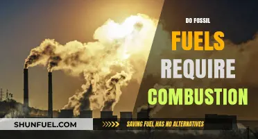 Fossil Fuels: Combustion's Essential Role