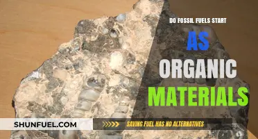 How Fossil Fuels Evolve From Organic Materials
