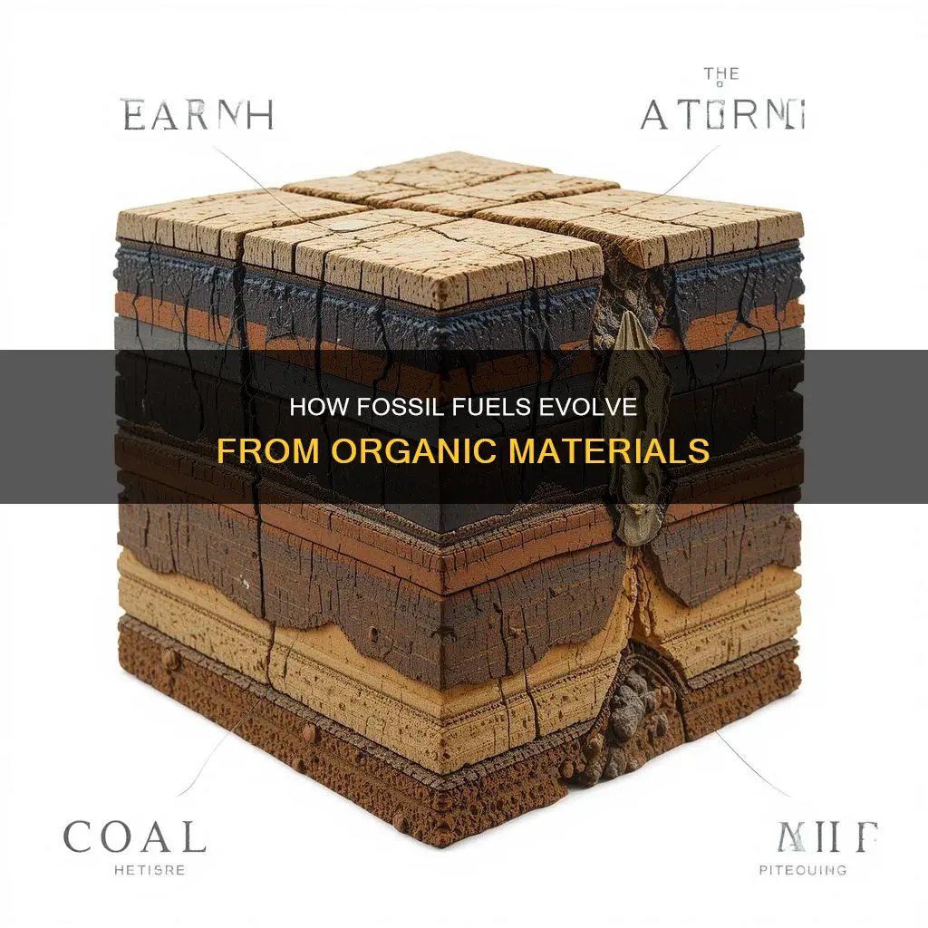 do fossil fuels start as organic materials