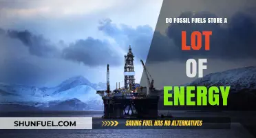Fossil Fuels: Energy-Dense Powerhouses of the Past