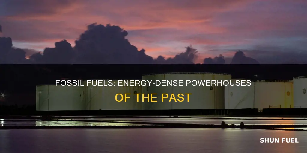 do fossil fuels store a lot of energy