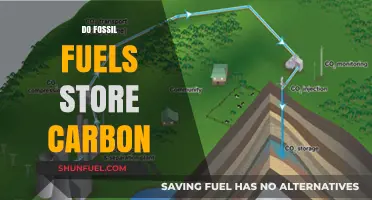 Fossil Fuels: Carbon Storage or Climate Catastrophe?