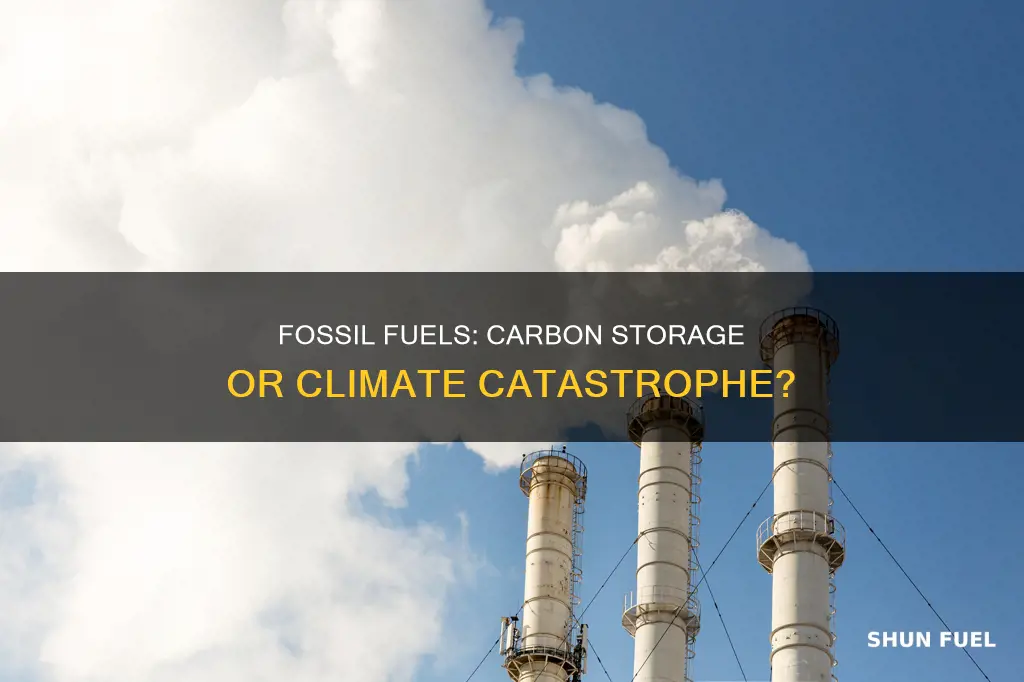 do fossil fuels store carbon