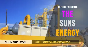 How Fossil Fuels Store Ancient Sunlight