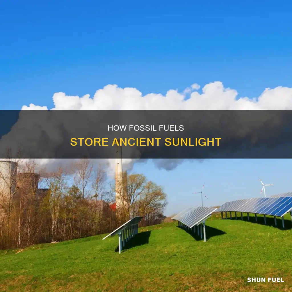 do fossil fuels store the suns energy