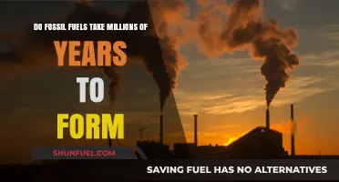 How Fossil Fuels Form Over Millions of Years