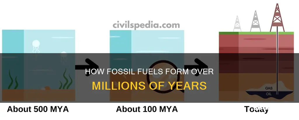 do fossil fuels take millions of years to form