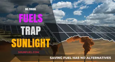 Fossil Fuels: Blocking Sunlight, Warming Earth