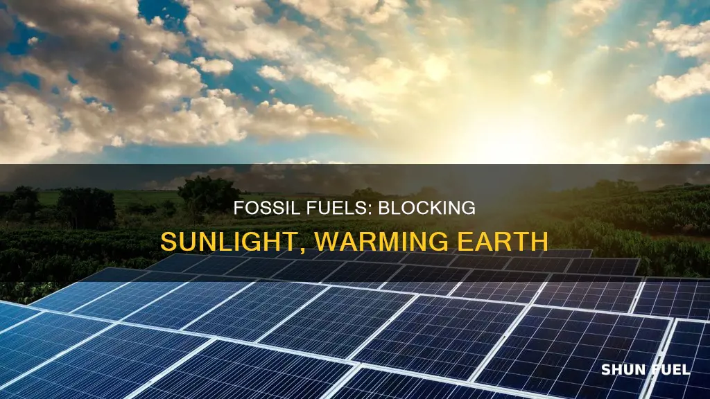 do fossil fuels trap sunlight
