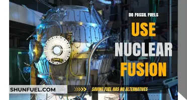 Fossil Fuels vs. Nuclear Fusion: Unraveling the Energy Source Mystery