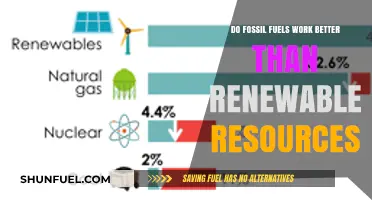 Fossil Fuels vs. Renewables: Which Energy Source Wins?