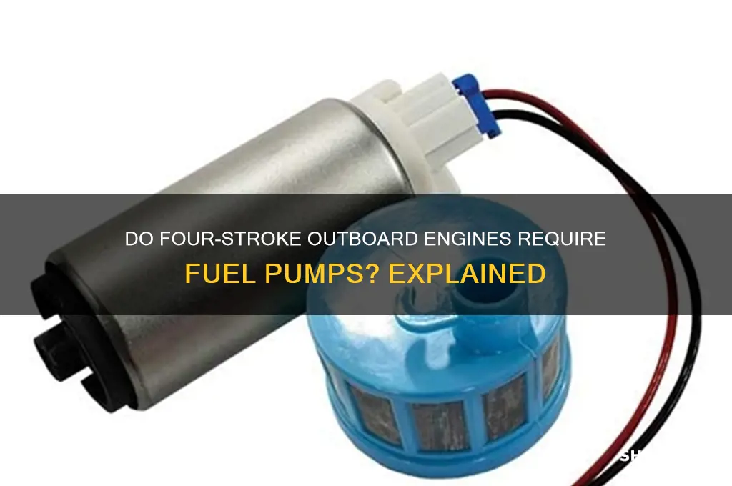 do fourstroke outboard engines have fuel pumps