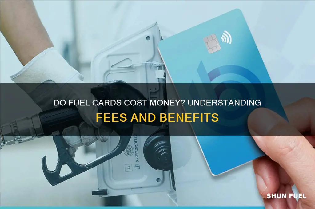 do fuel cards cost money