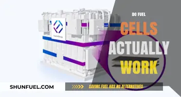 Do Fuel Cells Really Work? Unveiling the Truth Behind the Hype
