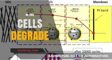 Understanding Fuel Cell Degradation: Causes, Effects, and Mitigation Strategies