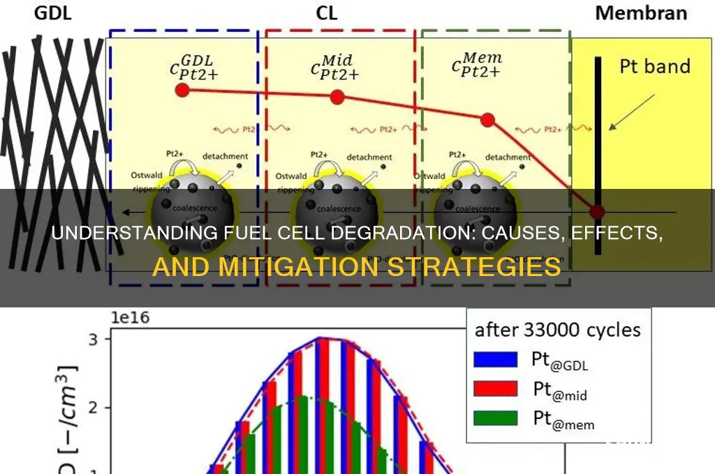 do fuel cells degrade