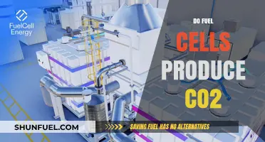 Do Fuel Cells Emit CO2? Exploring Their Environmental Impact