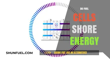 Do Fuel Cells Shore Up Energy Needs? Exploring Efficiency and Sustainability