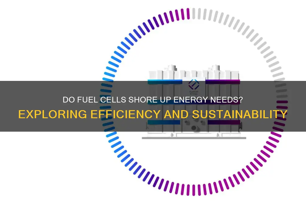 do fuel cells shore energy