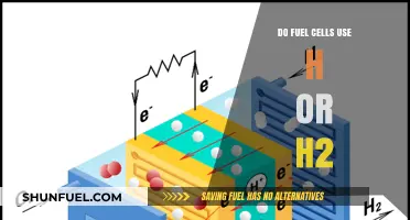 Fuel Cells: Understanding the Role of Hydrogen (H) vs. H2