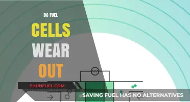 Do Fuel Cells Wear Out? Understanding Longevity and Maintenance Needs