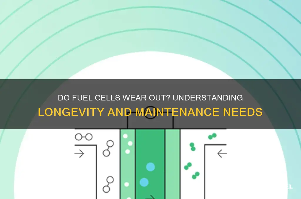 do fuel cells wear out