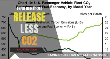 Fuel-Efficient Cars: Less CO2 Emissions?