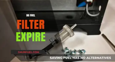 Fuel Filter Lifespan: When to Replace?