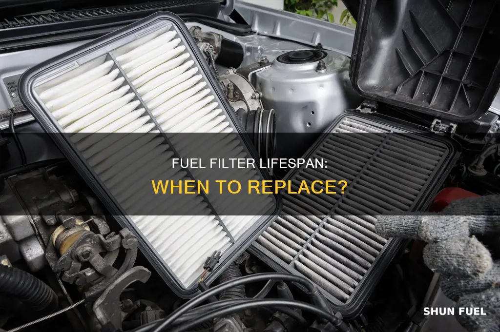 do fuel filter expire