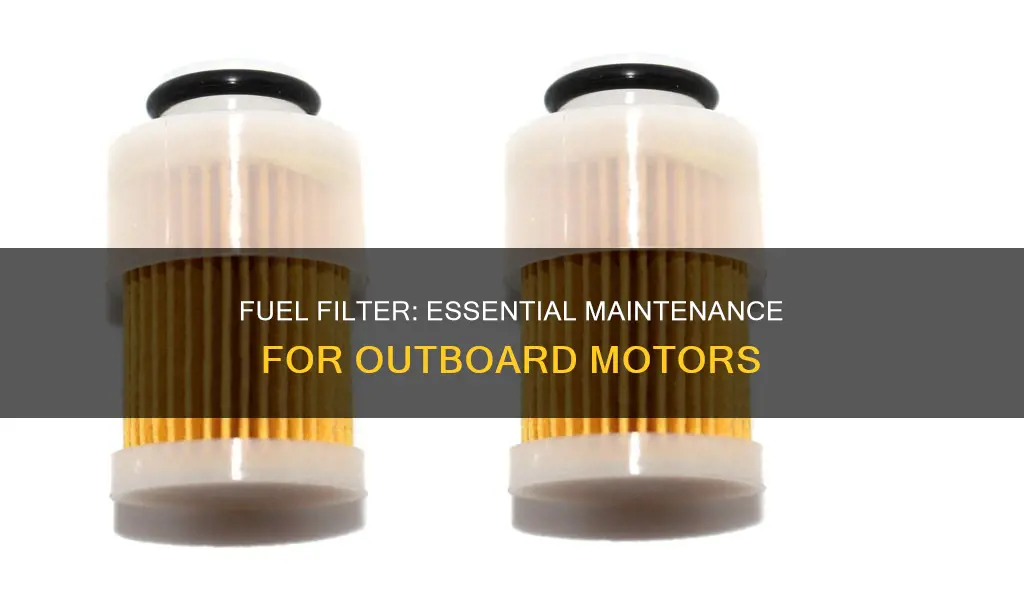 do fuel filter matters otboard